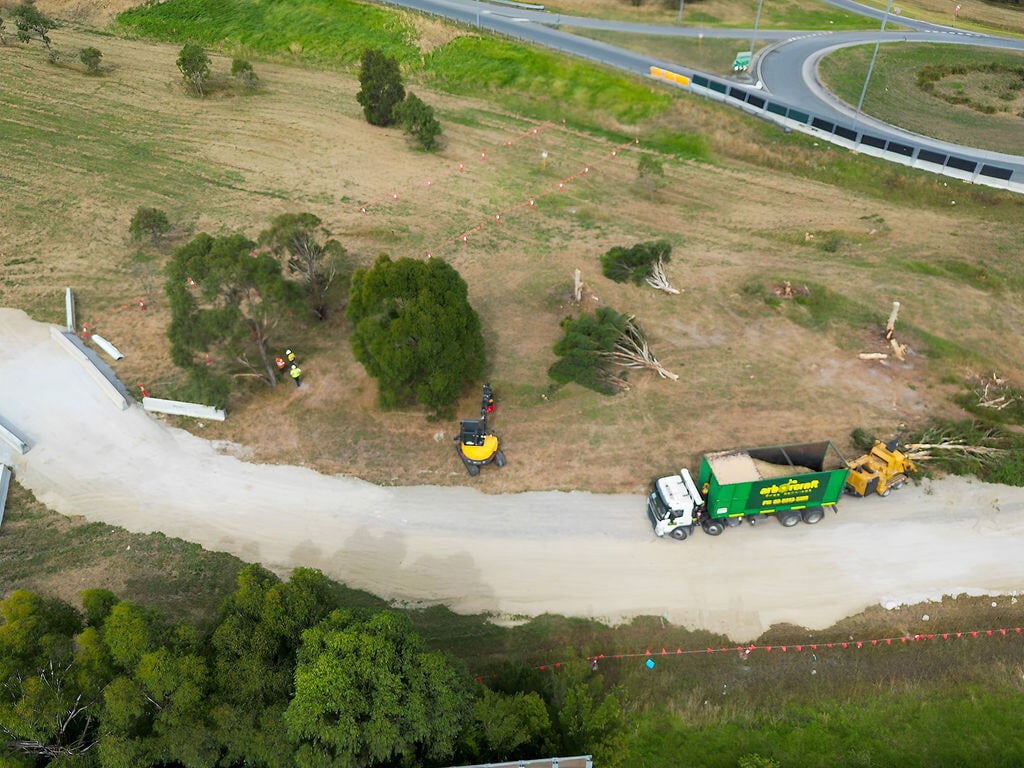 Birds eye view of tree removal