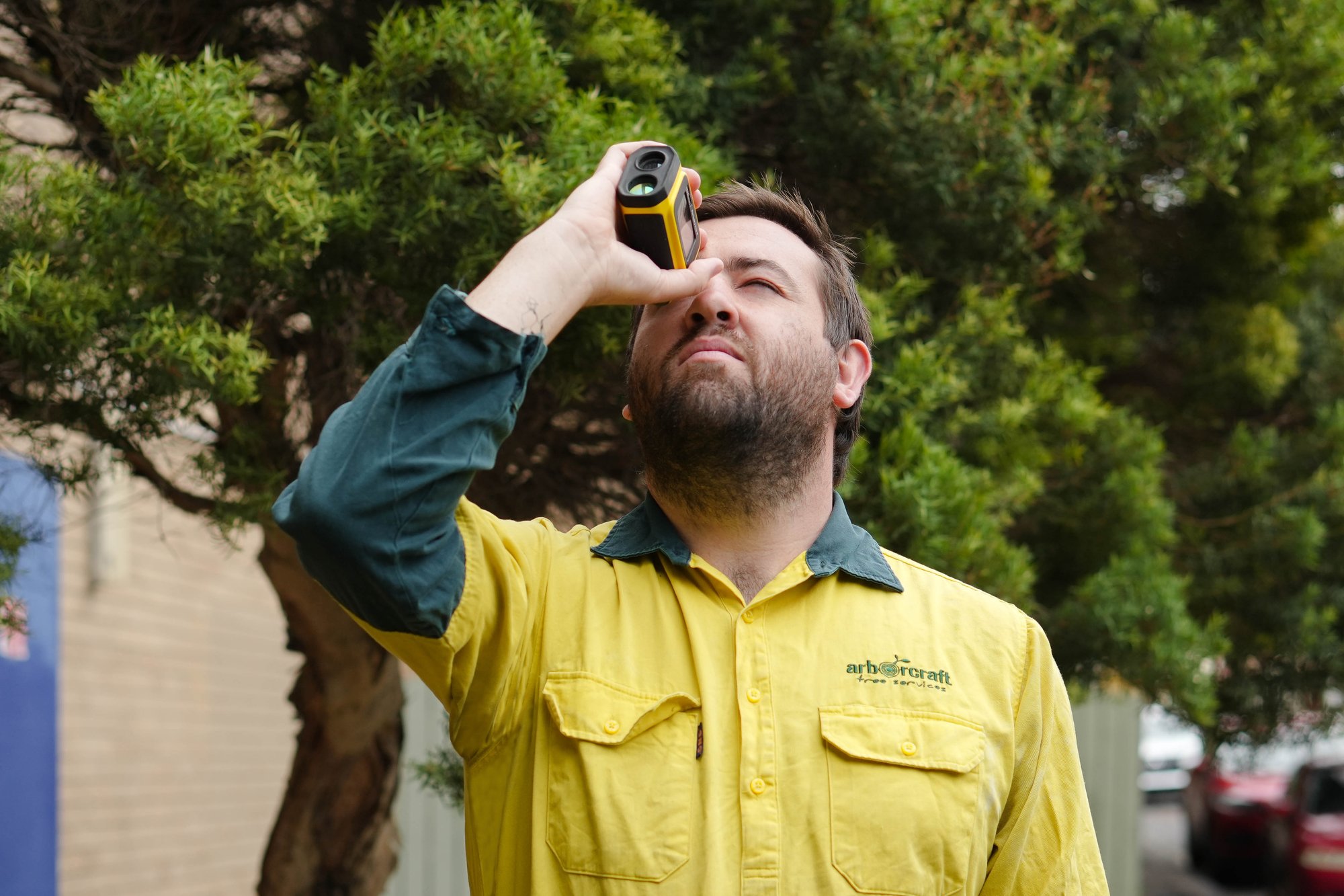 An arborist uses a measuring device to assess trees