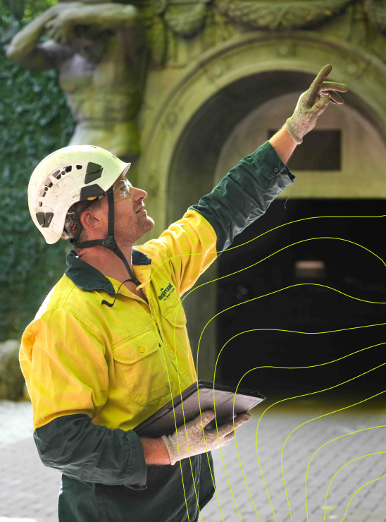 An arborist pointing