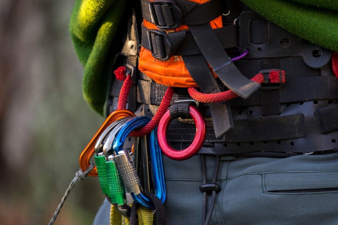 Arborcraft crew member in full safety equipment on site